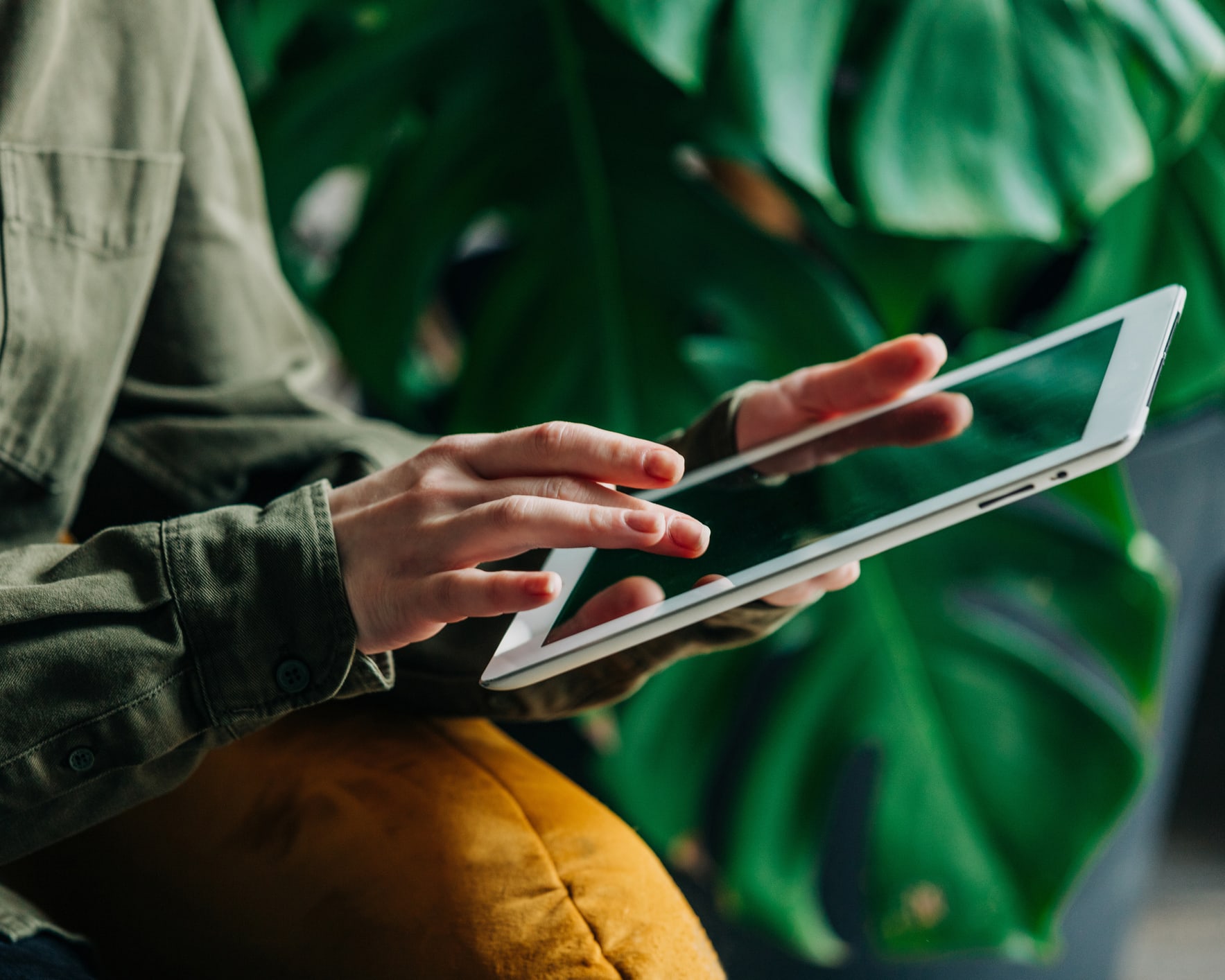 A close up of someone using a tablet with a plant in the background